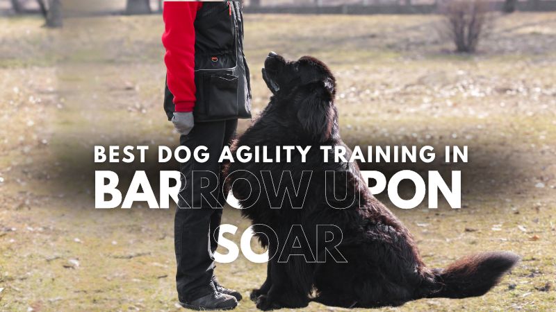 Best Dog Agility Training in Barrow Upon Soar