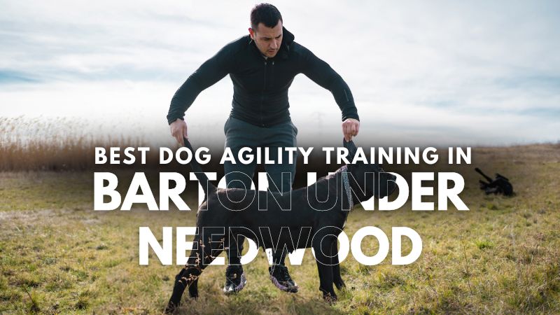 Best Dog Agility Training in Barton Under Needwood