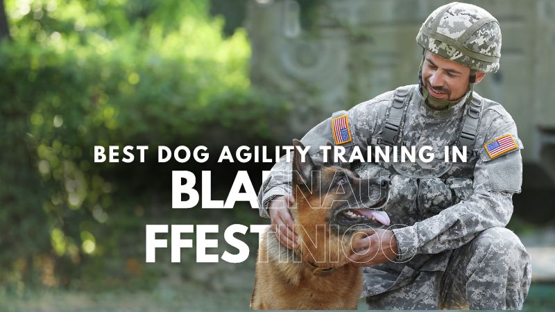 Best Dog Agility Training in Blaenau Ffestiniog