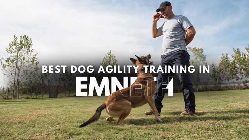 Best Dog Agility Training in Emneth