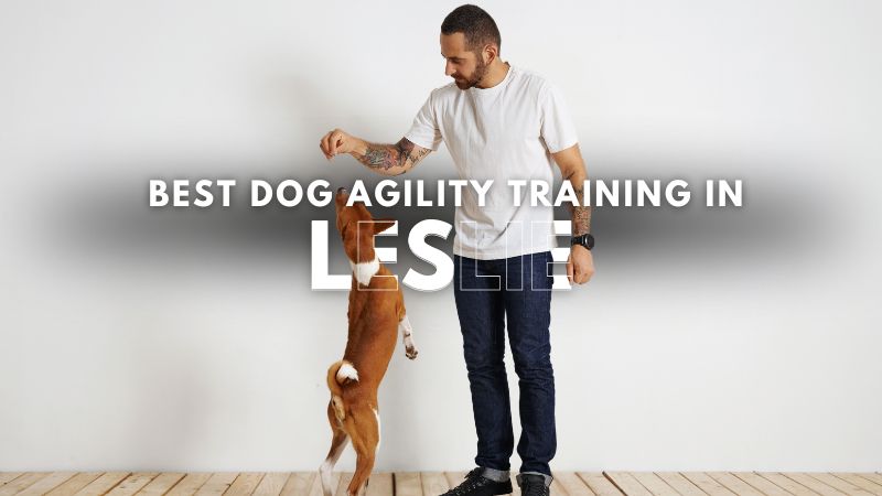 Best Dog Agility Training in Leslie