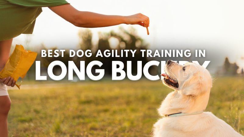 Best Dog Agility Training in Long Buckby