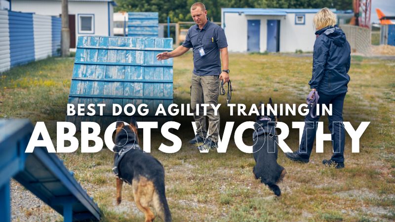Best Dog Agility Training in Abbots Worthy