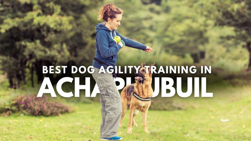 Best Dog Agility Training in Achaphubuil