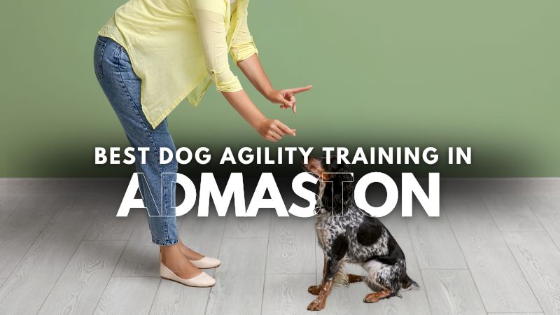 Best Dog Agility Training in Admaston