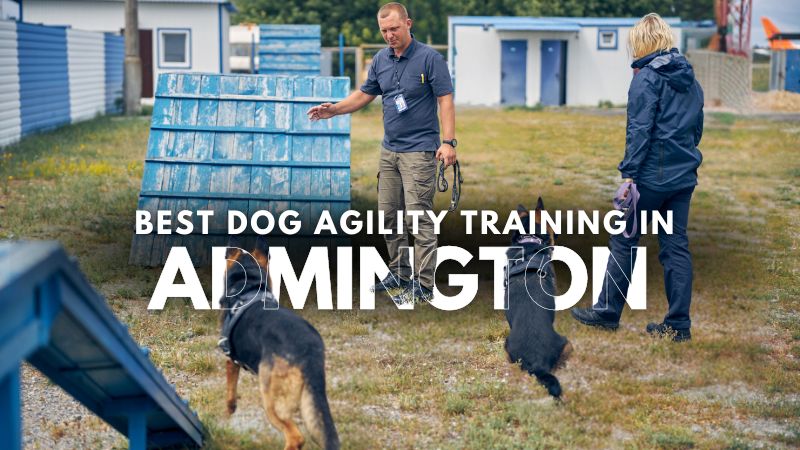 Best Dog Agility Training in Admington