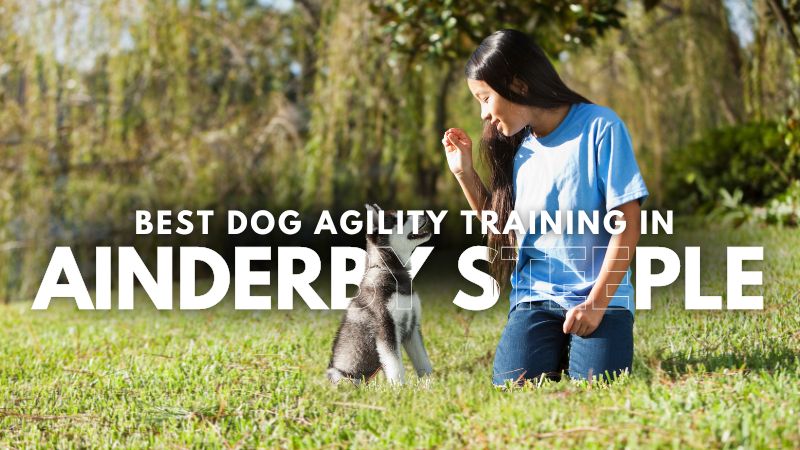 Best Dog Agility Training in Ainderby Steeple
