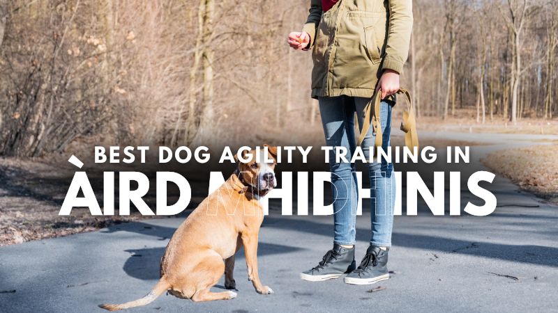 Best Dog Agility Training in Àird Mhidhinis