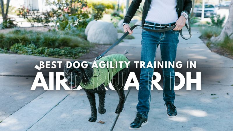 Best Dog Agility Training in Àird Ruairidh