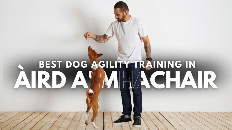 Best Dog Agility Training in Àird a' Mhachair