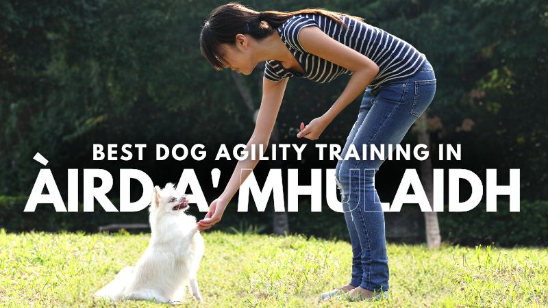 Best Dog Agility Training in Àird a' Mhulaidh