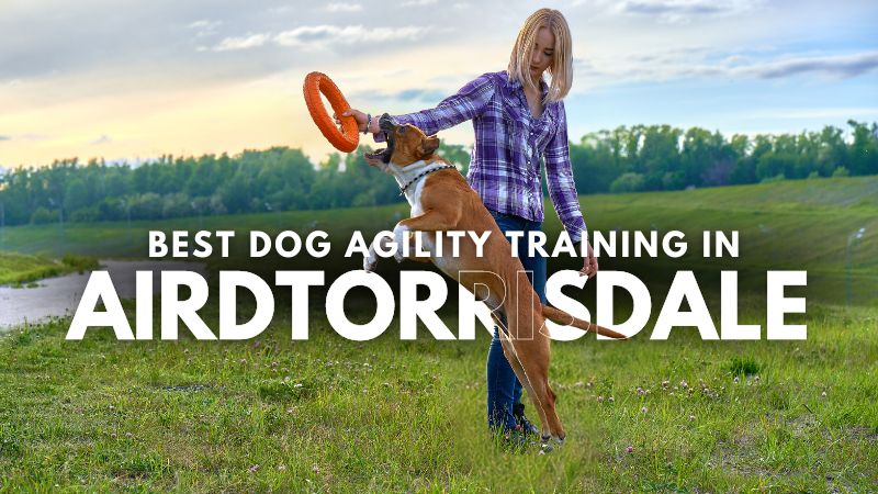 Best Dog Agility Training in Airdtorrisdale