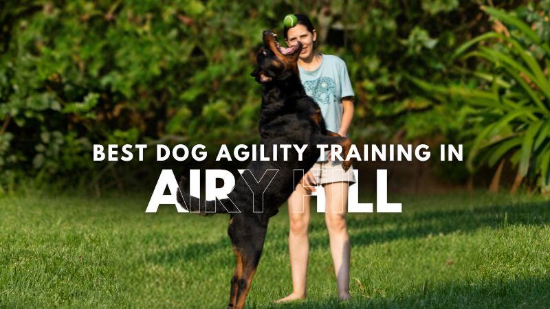 Best Dog Agility Training in Airy Hill