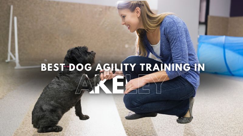 Best Dog Agility Training in Akeley