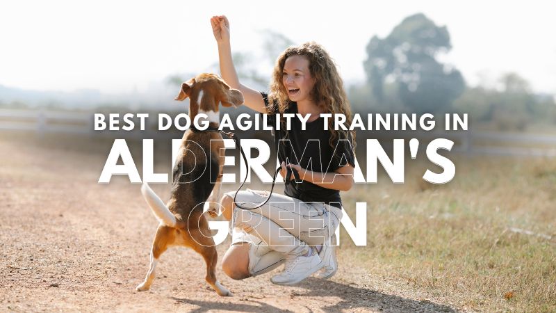 Best Dog Agility Training in Alderman's Green