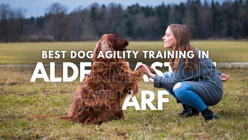 Best Dog Agility Training in Aldermaston Wharf