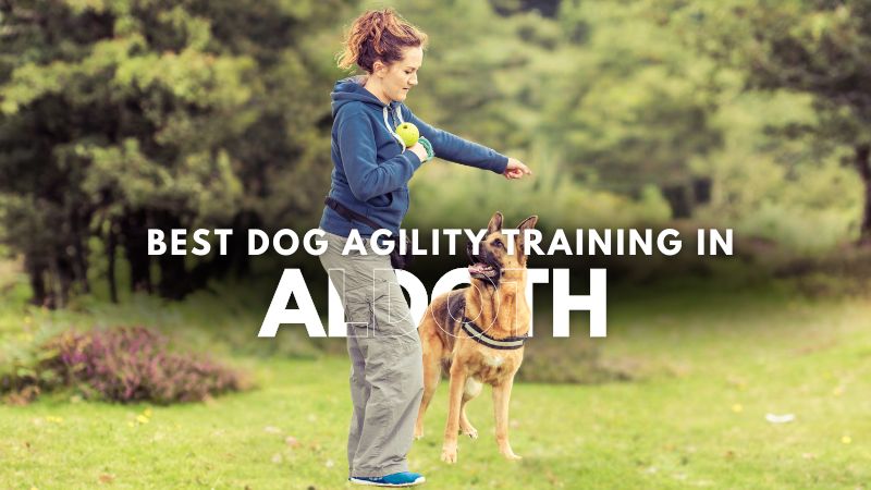 Best Dog Agility Training in Aldoth