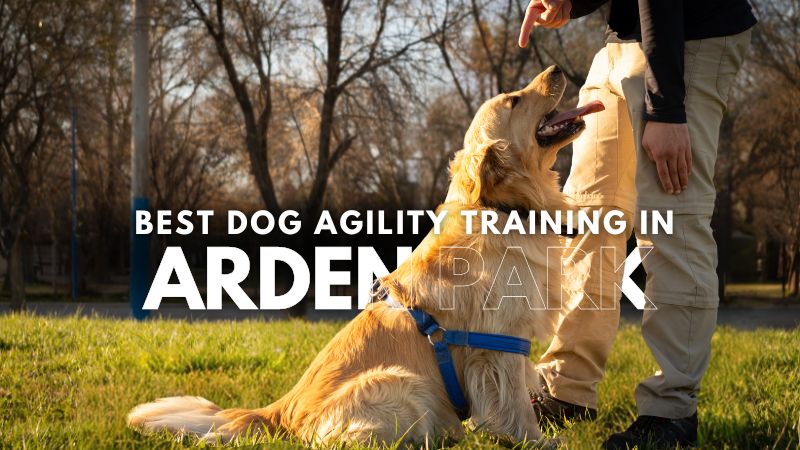 Best Dog Agility Training in Arden Park