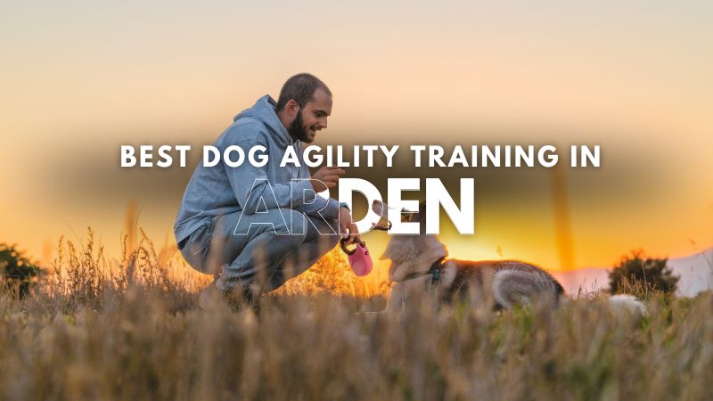 Best Dog Agility Training in Arden