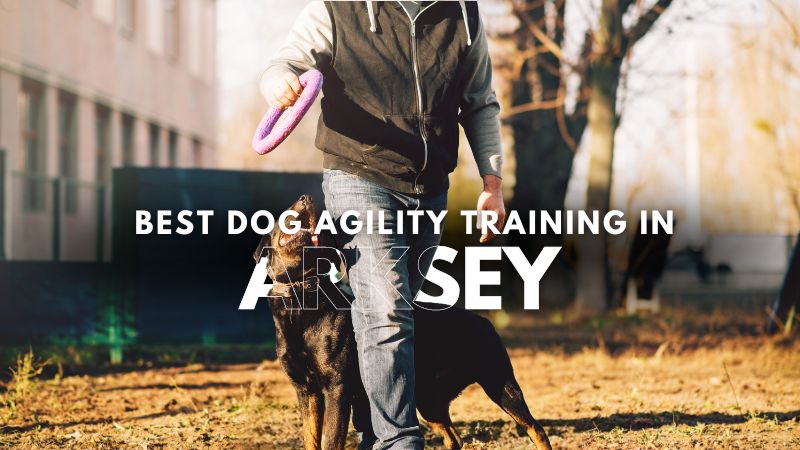 Best Dog Agility Training in Arksey