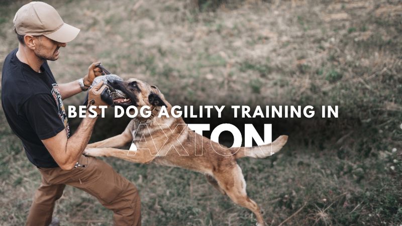 Best Dog Agility Training in Axton