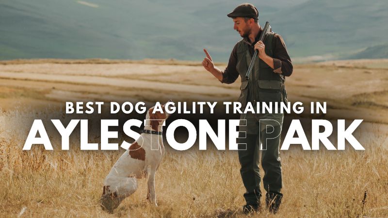 Best Dog Agility Training in Aylestone Park