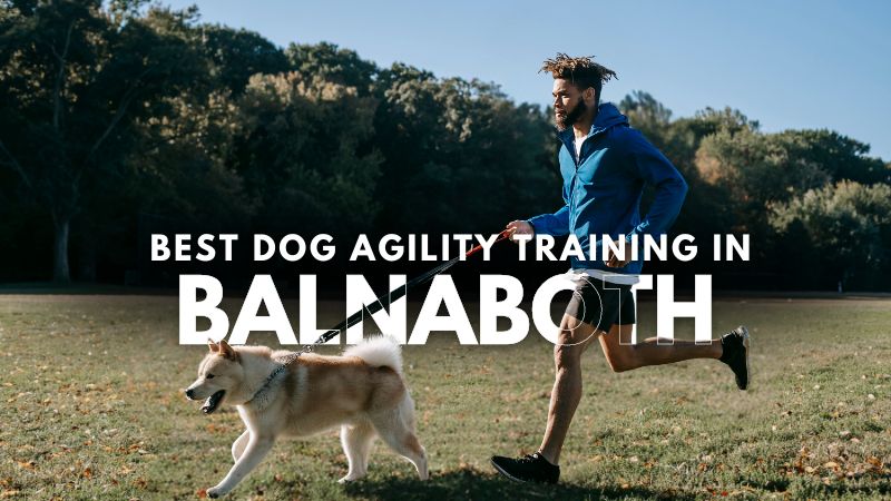 Best Dog Agility Training in Balnaboth