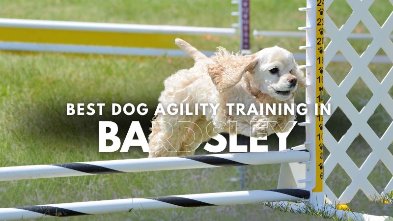 Best Dog Agility Training in Bardsley