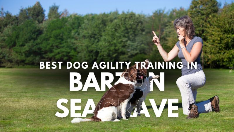 Best Dog Agility Training in Barton Seagrave