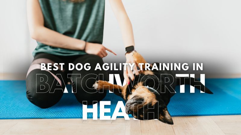 Best Dog Agility Training in Batchworth Heath