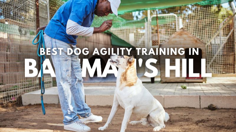 Best Dog Agility Training in Bateman's Hill