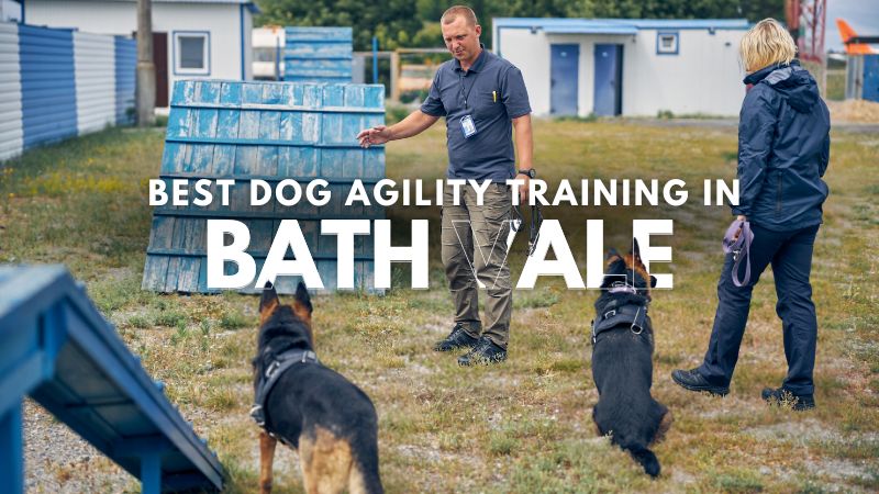 Best Dog Agility Training in Bath Vale