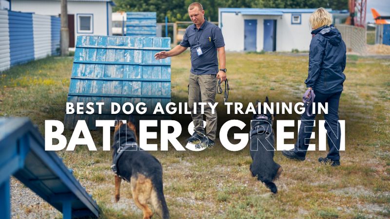 Best Dog Agility Training in Batlers Green