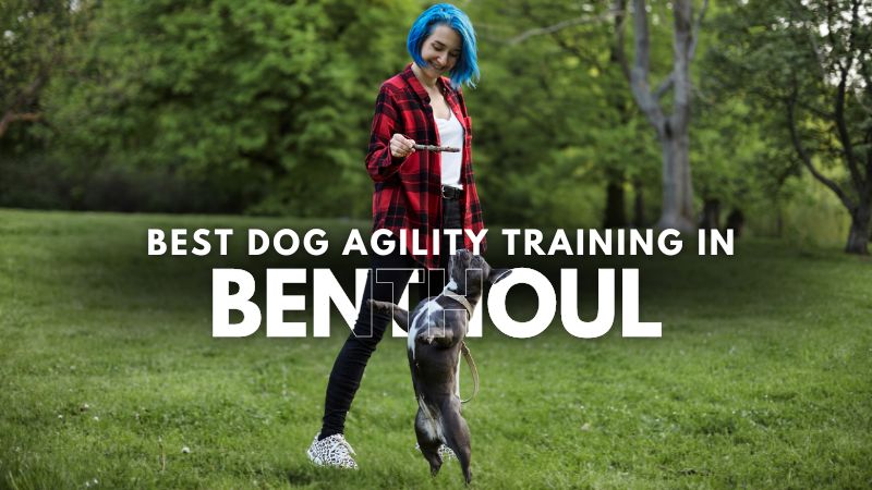 Best Dog Agility Training in Benthoul