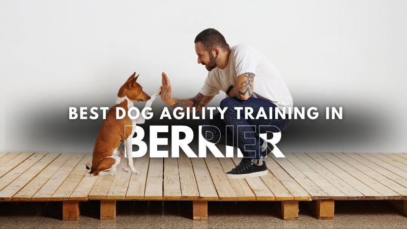 Best Dog Agility Training in Berrier