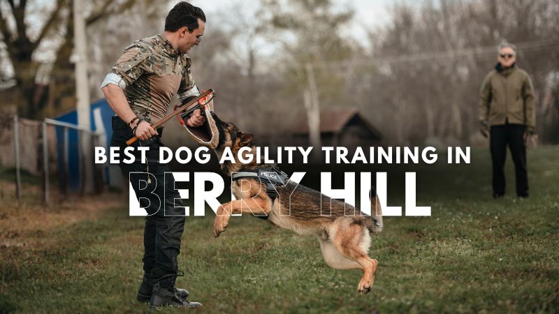 Best Dog Agility Training in Berry Hill