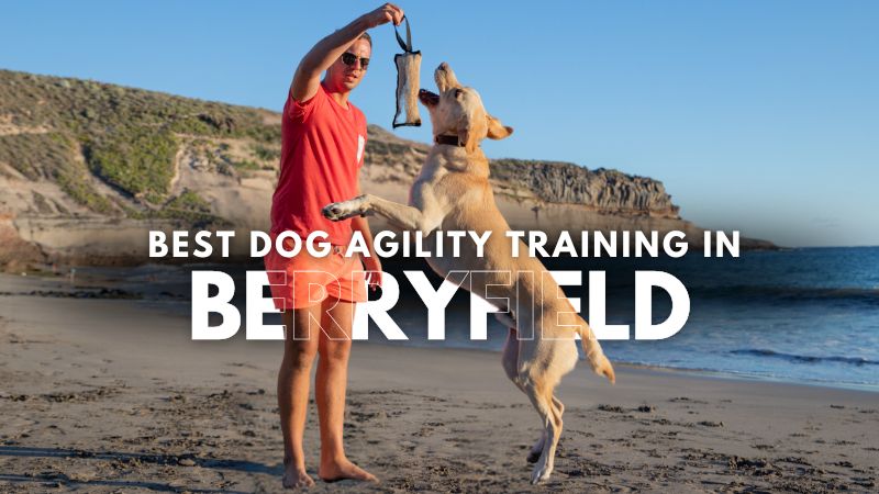 Best Dog Agility Training in Berryfield