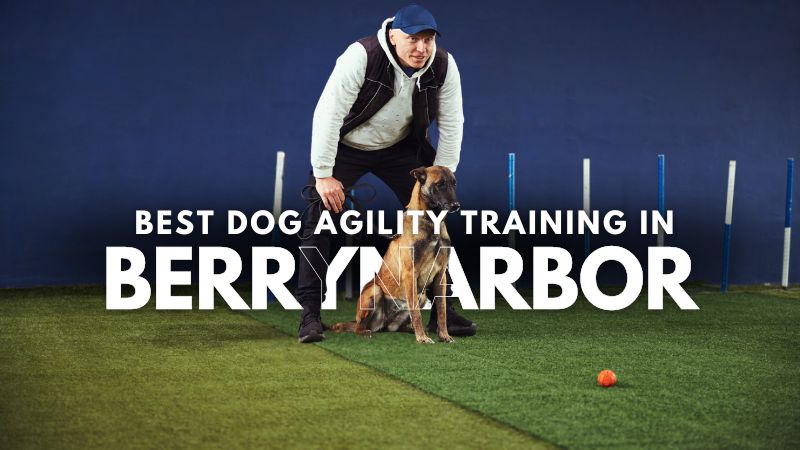 Best Dog Agility Training in Berrynarbor