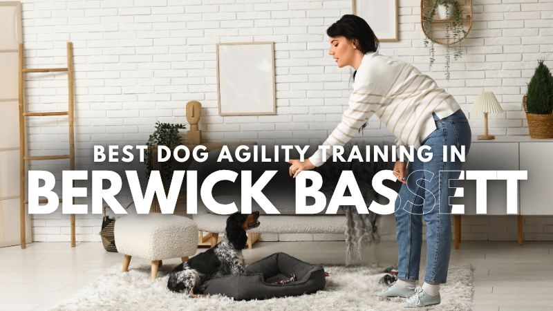 Best Dog Agility Training in Berwick Bassett