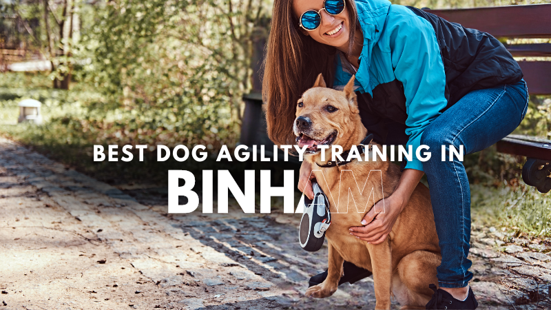 Best Dog Agility Training in Binham