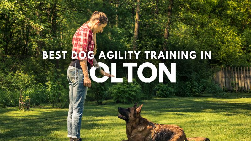 Best Dog Agility Training in Bolton