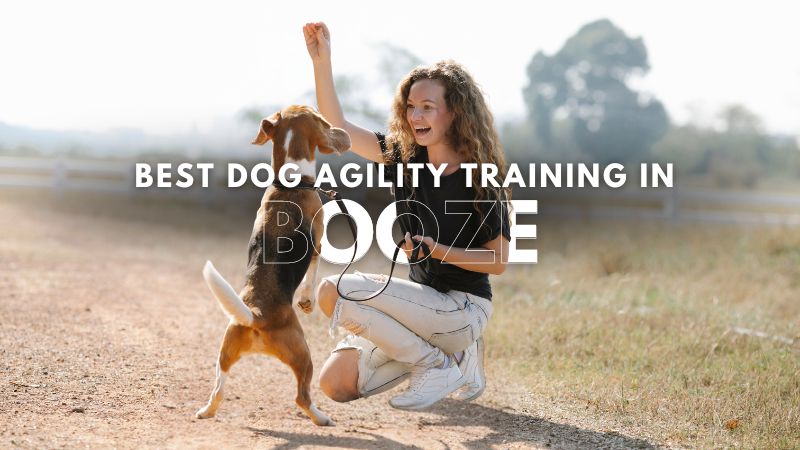 Best Dog Agility Training in Booze
