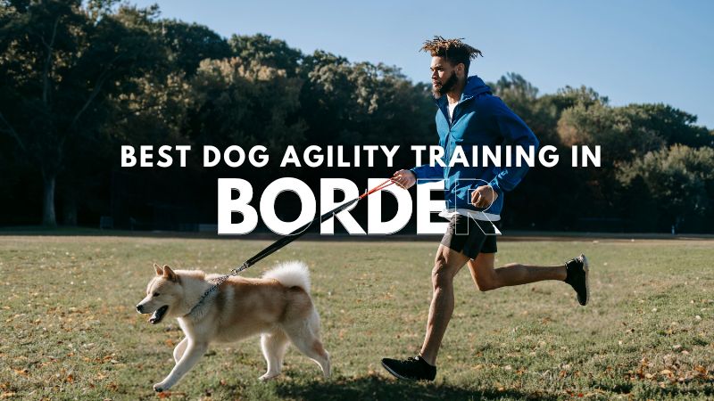 Best Dog Agility Training in Border