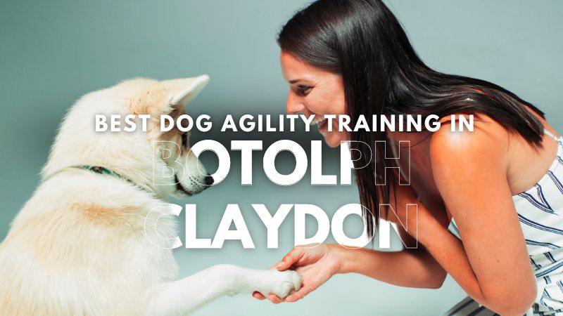Best Dog Agility Training in Botolph Claydon