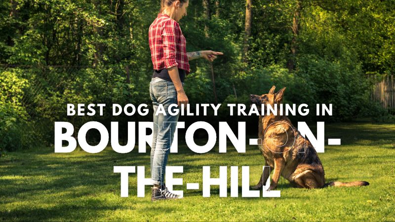 Best Dog Agility Training in Bourton-on-the-Hill