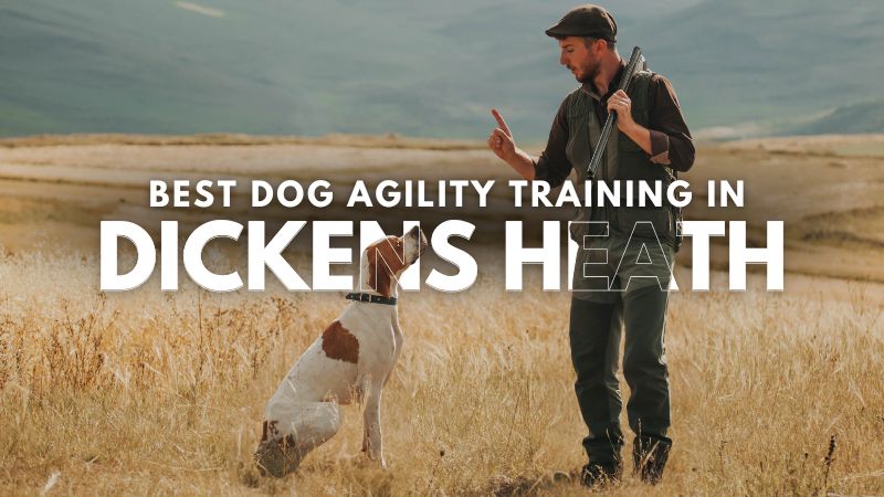 Best Dog Agility Training in Dickens Heath