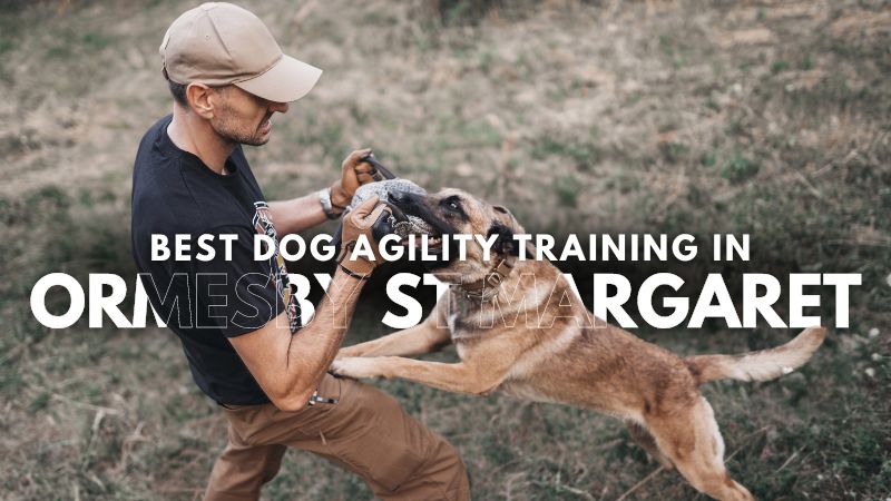 Best Dog Agility Training in Ormesby St Margaret