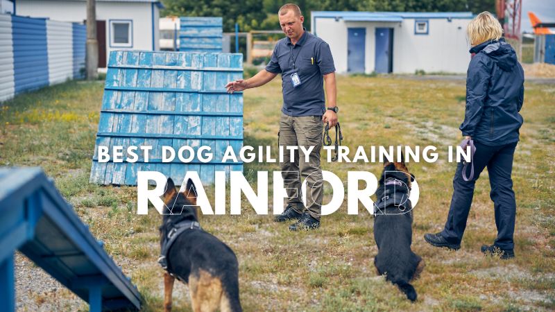 Best Dog Agility Training in Rainford